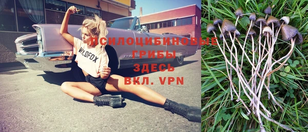 spice Пересвет