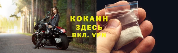 spice Пересвет