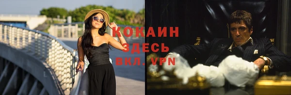 амф Пестово