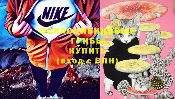 амф Пестово