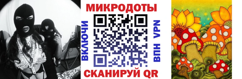 Купить закладки  Спас-Клепики  Псилоцибиновые грибы GOLDEN TEACHER 